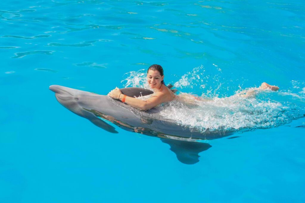 15PRIVATE DOLPHIN