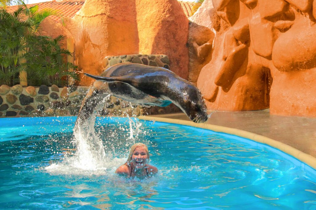 20SEA LION ENCOUNTER