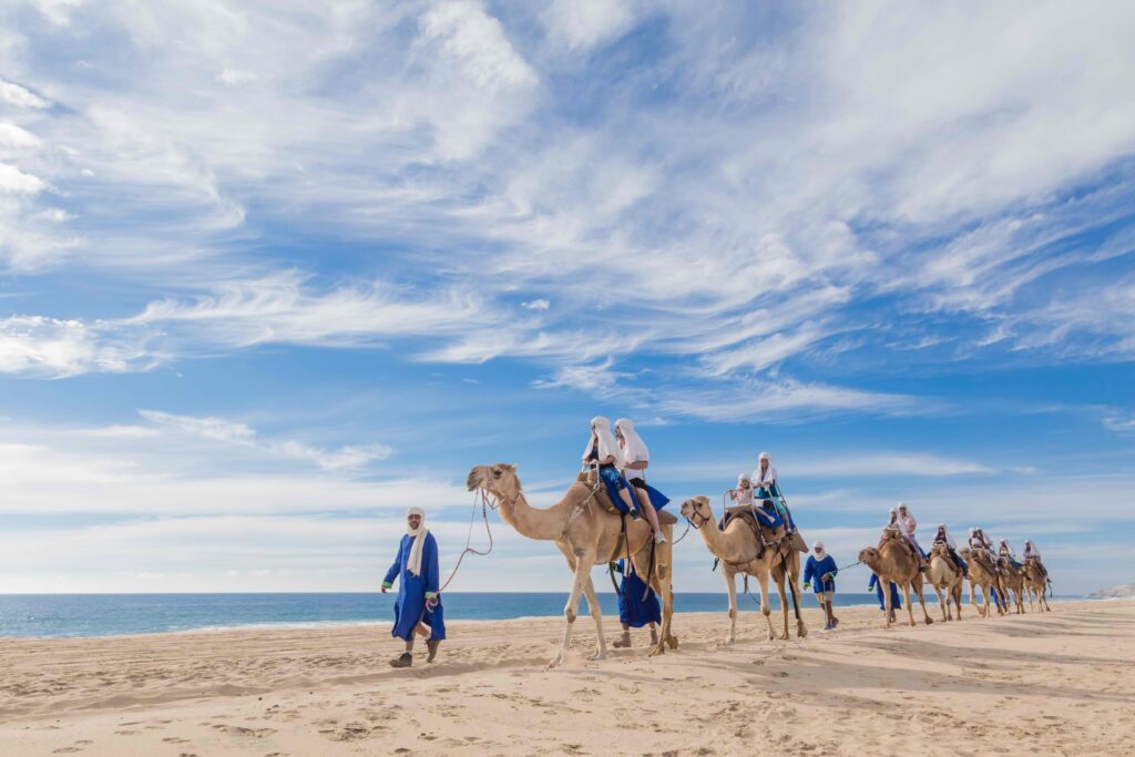 CAMEL RIDE1