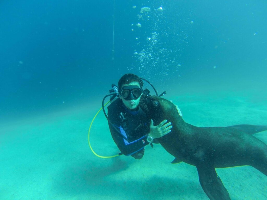 SCUBA DIVING SEA LION_V_11