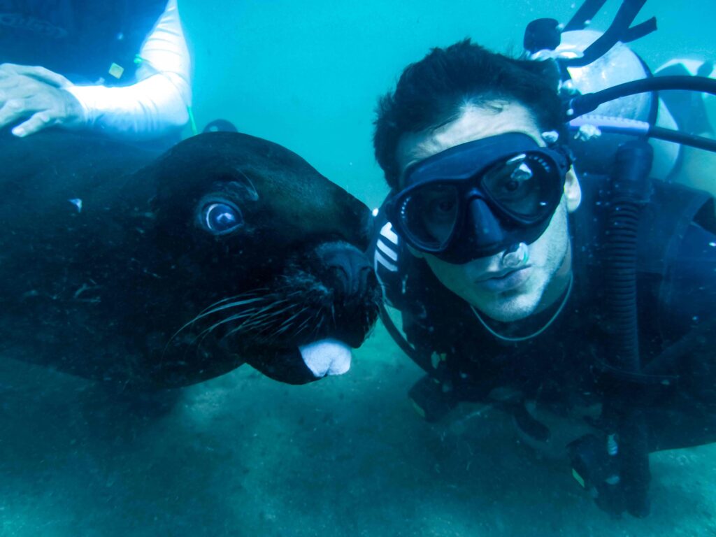 SCUBA DIVING SEA LION_V_12