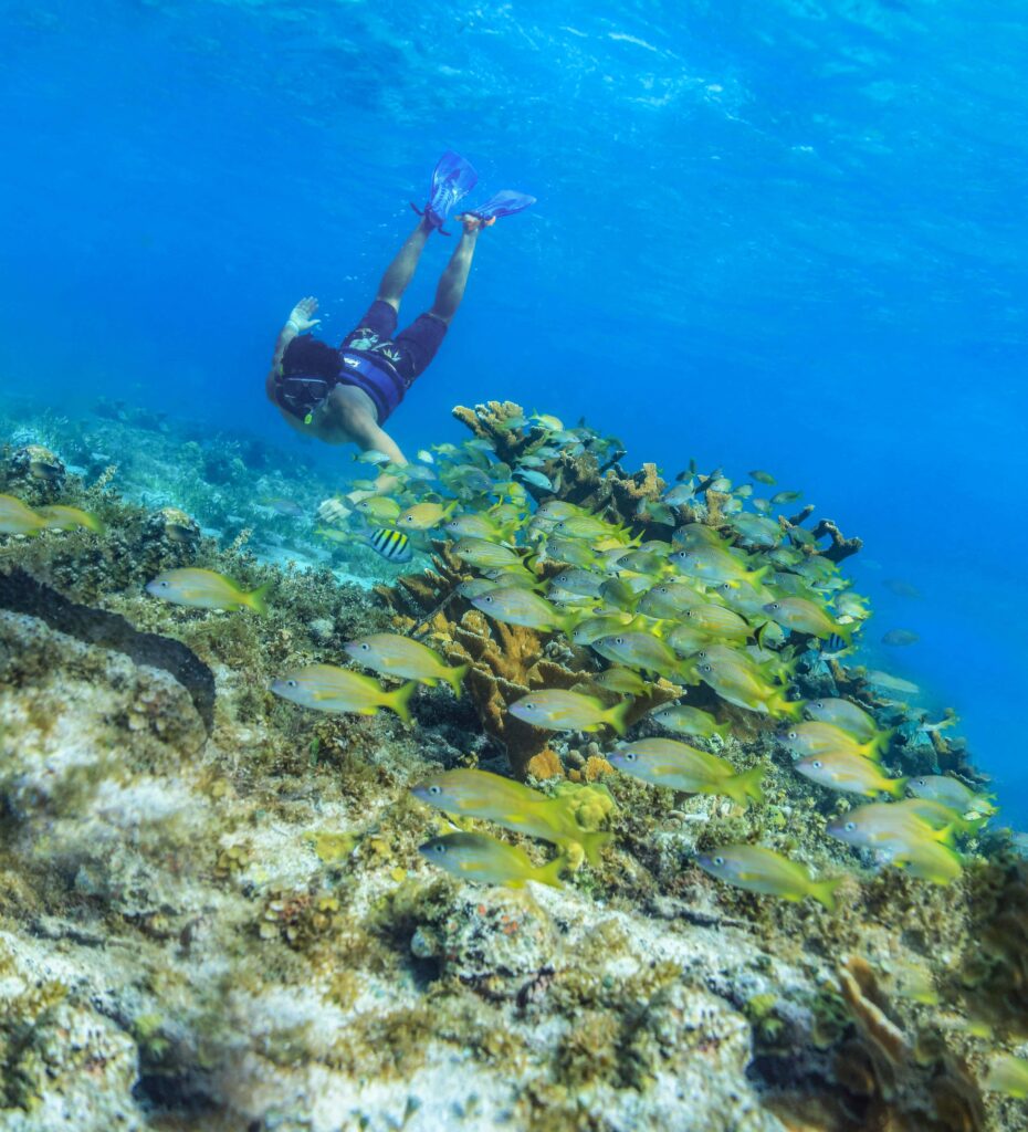 Snorkel-Arrecife_02