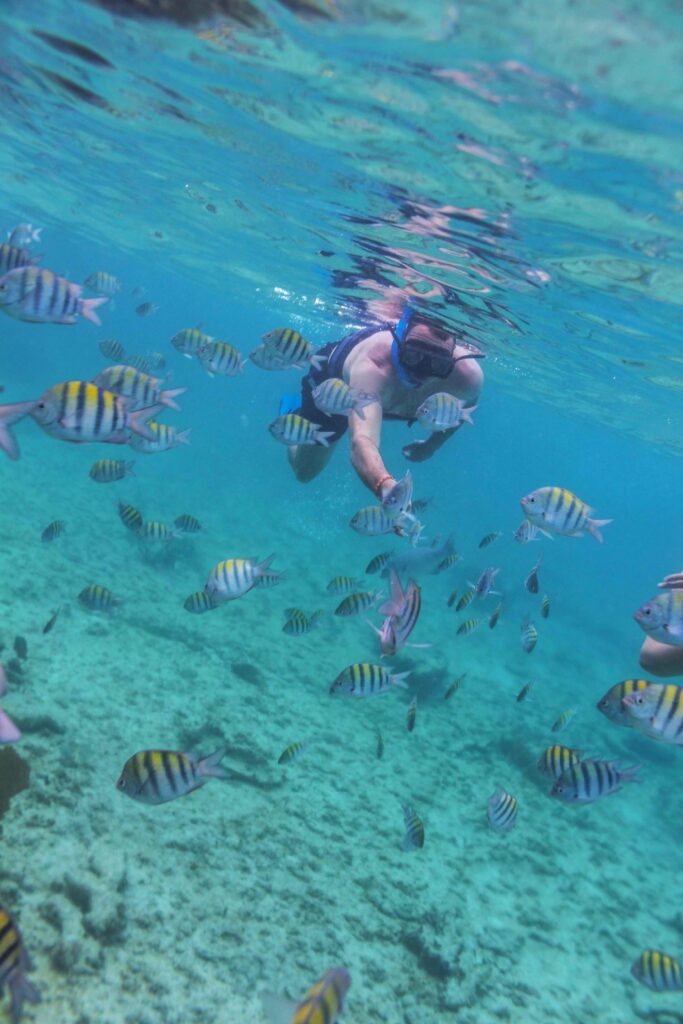 Snorkel-Arrecife_06