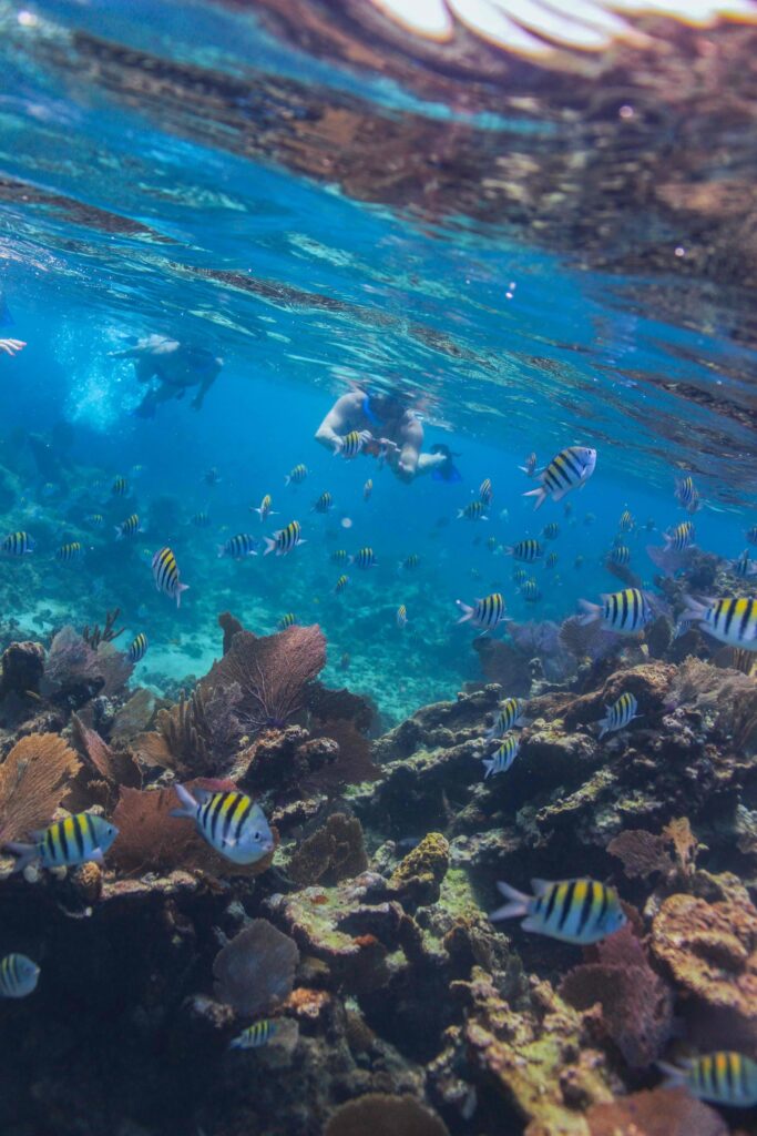 Snorkel-Arrecife_07