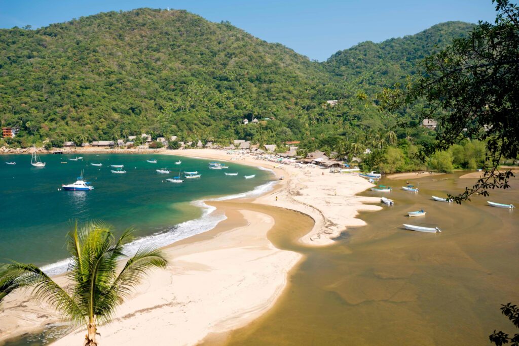 YELAPA5